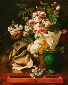 Nature morte avec fleurs, coquillages, tête de requin et pétrifications